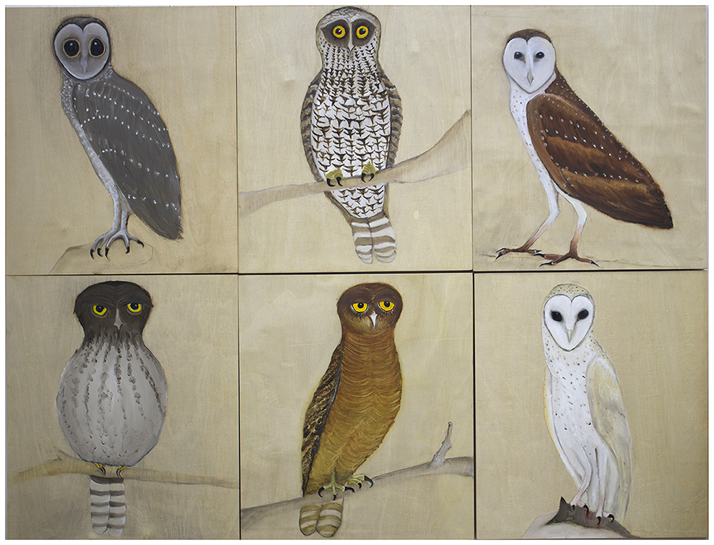 Owls
