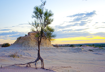 Walls of China 1, LaKE MUNGO